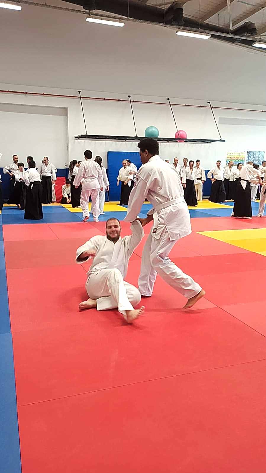 Dojo İç Mekan