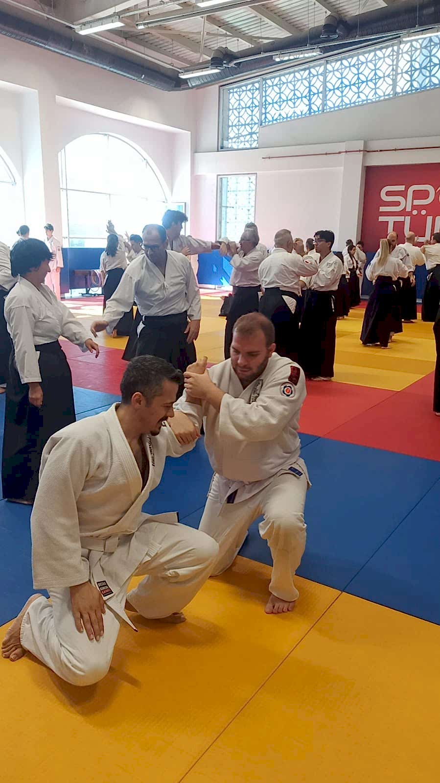 Dojo İç Mekan